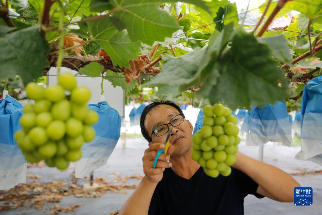 手机赌场官网下载